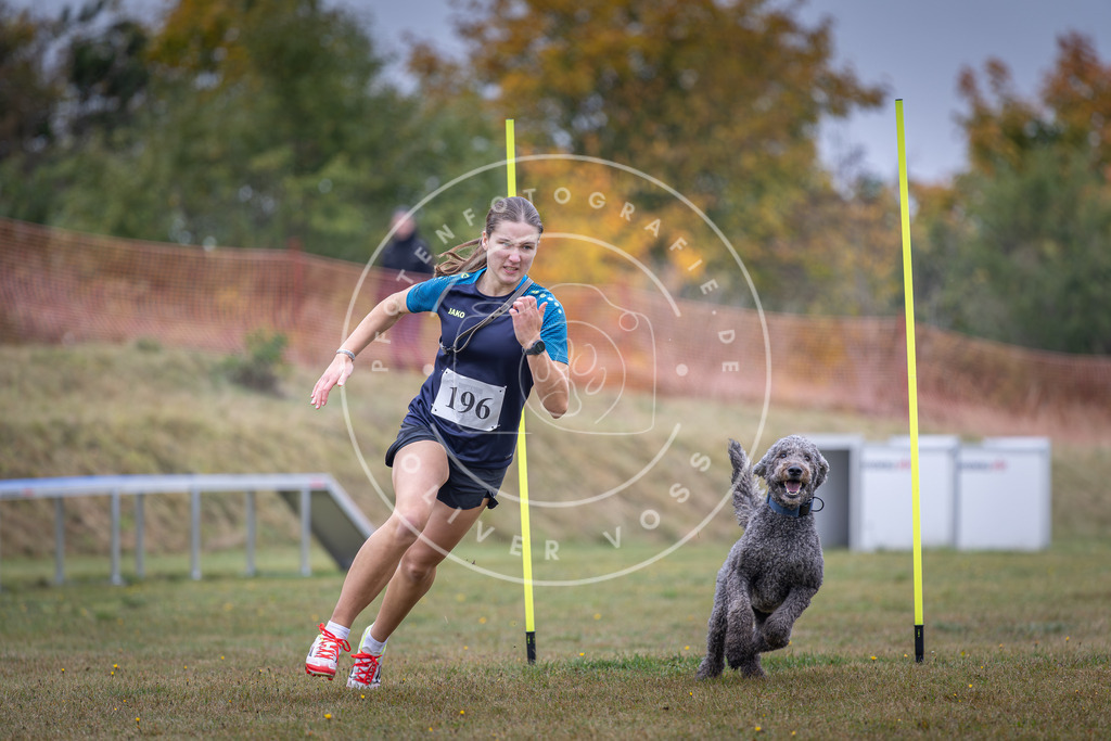 Pfotenfotografie_DV3A1060 | Hundefotografie, Tierfotograf, Pfotenfotografie, Fotoshooting Hund, Hunde Portrait, Hundesport, Hundeportraits, Heideshooting, Hunde, Sportfotograf, Hundefotograf, Turnierhundsport, THS,  - Realisiert mit Pictrs.com