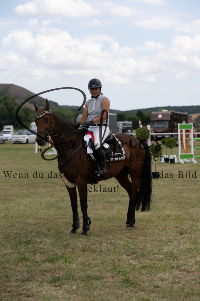 A7V02131 | Pferdefotograf