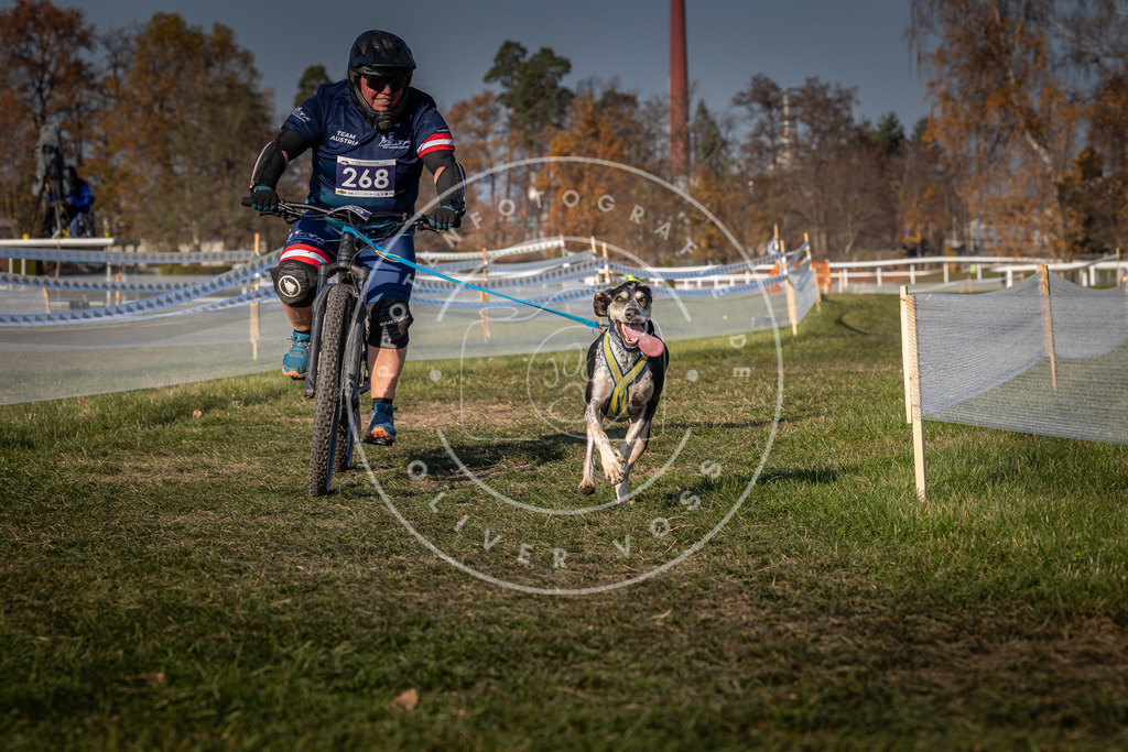 CaniXpix_0L8A8046 | Hundefotografie, Tierfotograf, Pfotenfotografie, Fotoshooting Hund, Hunde Portrait, Hundesport, Hundeportraits, Heideshooting, Hunde, Sportfotograf, Hundefotograf, Turnierhundsport, THS,  - Realisiert mit Pictrs.com