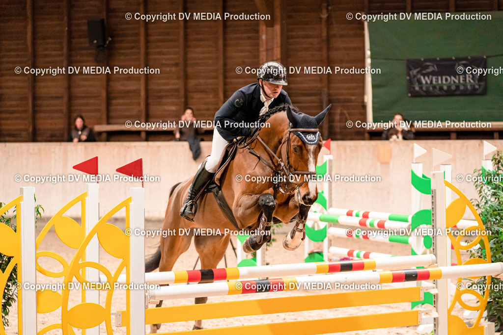 Springen Tag 1-366 | dv-media-shop - Realisiert mit Pictrs.com