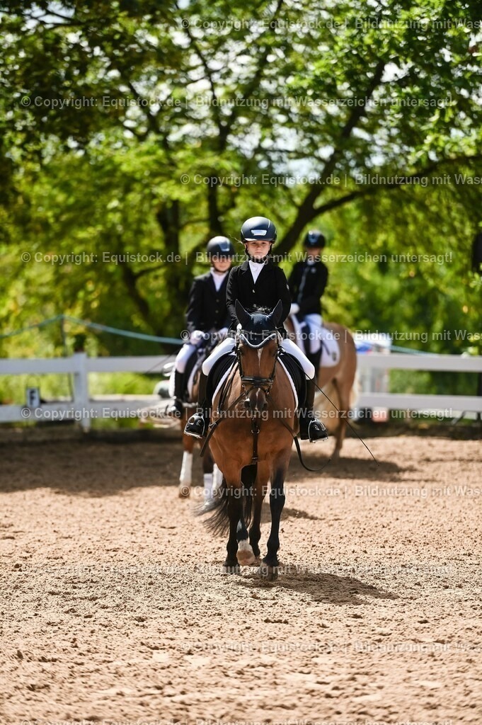 20230716_10-3_Reiter-WB Schritt - Trab - Galopp_0017 | equistock
