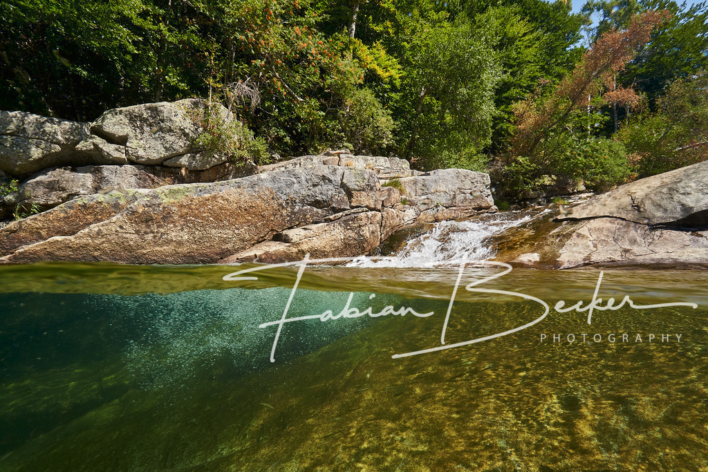Zwei Welten | Einzigartige Wandbilder von faszinierenden Unterwasserwelten. Exklusive Kunst für Empfangsbereiche, Wohnraum oder Wartezimmer. - Realisiert mit Pictrs.com