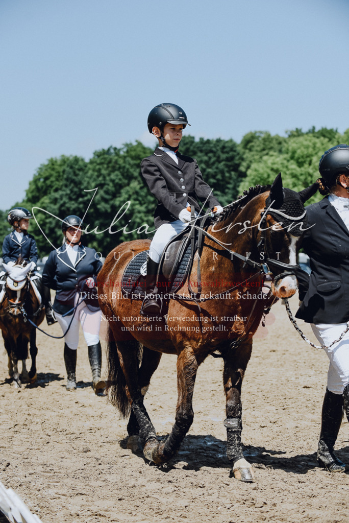 DSC_2205 | Pferde- und Turnierfotografie in Westsachsen. Pferdeportraits, Auftragszeichnungen und intuitive Kunst.