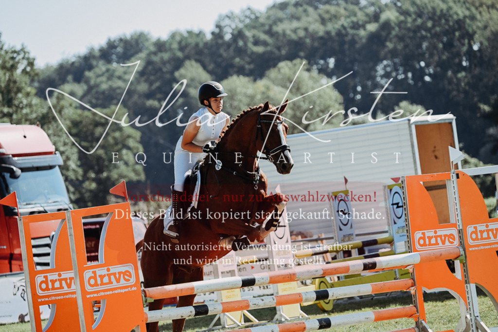 DSC_5660 | Pferde- und Turnierfotografie in Westsachsen. Pferdeportraits, Auftragszeichnungen und intuitive Kunst.