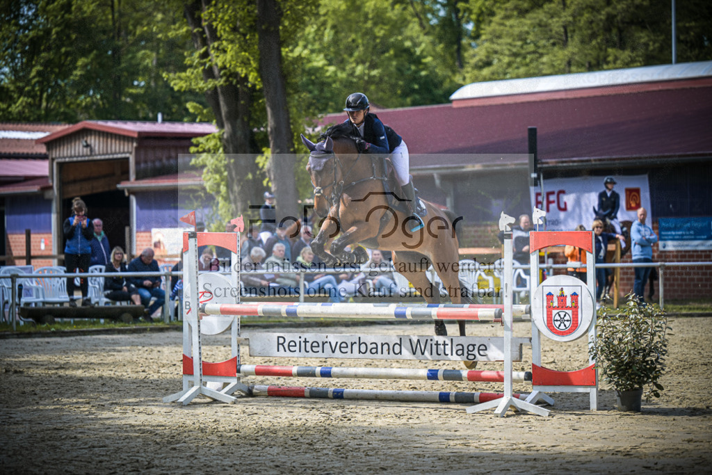 DOS_7266 | Entdecke hochwertige Reitturnierfotos von Foto Oger. Professionell, emotional und authentisch – jetzt Lieblingsmomente im Shop bestellen.Deutschlandweite Turnierfotografie. - Realisiert mit Pictrs.com
