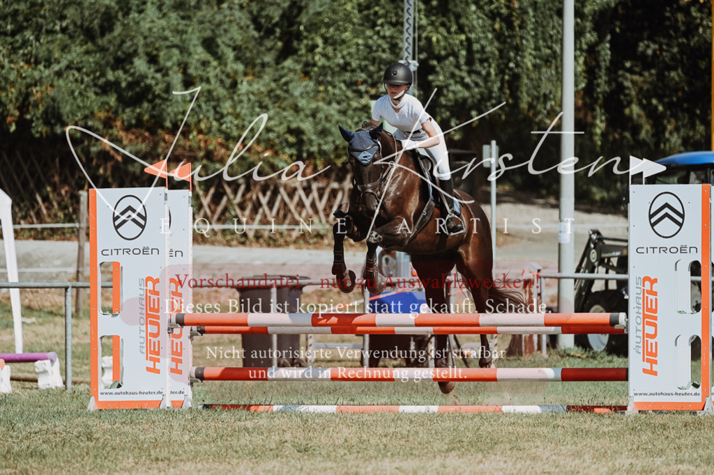 DSC_9661 | Pferde- und Turnierfotografie in Westsachsen. Pferdeportraits, Auftragszeichnungen und intuitive Kunst.