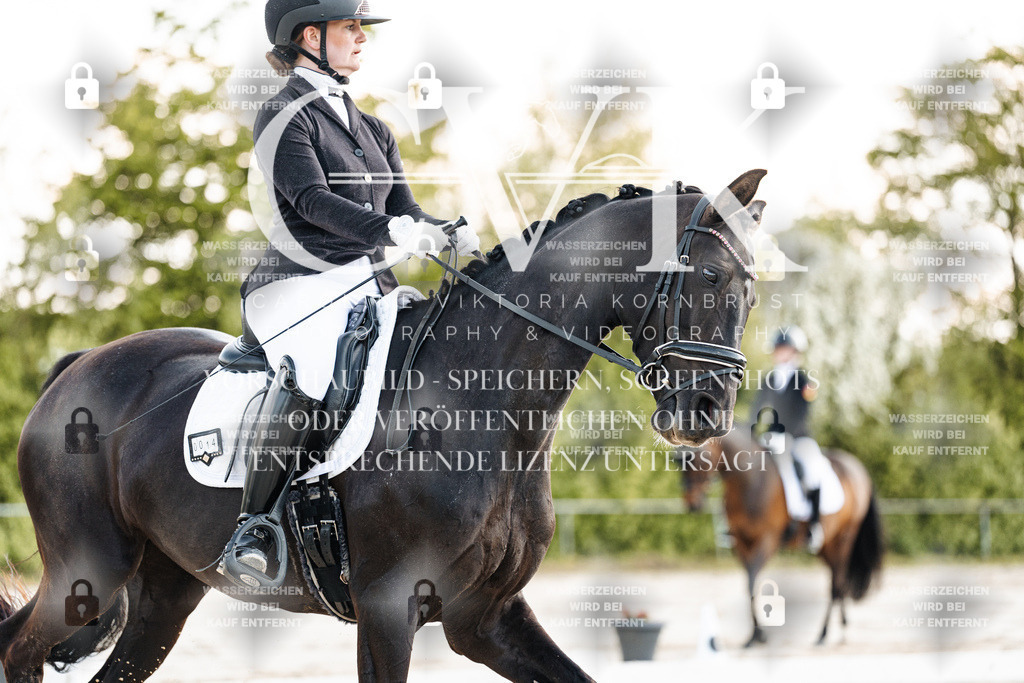 CK909422 | Turnierfotografie Pferdefotografie Trier Rheinland-Pfalz Pferdesport Reitsport Tierfotografie Sportfotografie Pferdevideo Pferdevideografie Equestrianvideography equestrianphotography  - Realisiert mit Pictrs.com