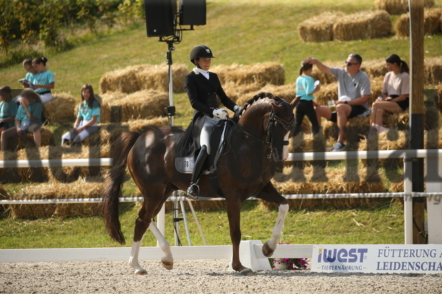 Birkhof_2022_GrandPrixSpecial_Jasmin Schaudt_Fano 3 (6) | Alle Fotos der Reiterjournal Fotografin Doris Matthaes im Reiterjournal Online-Fotoshop. - Realisiert mit Pictrs.com