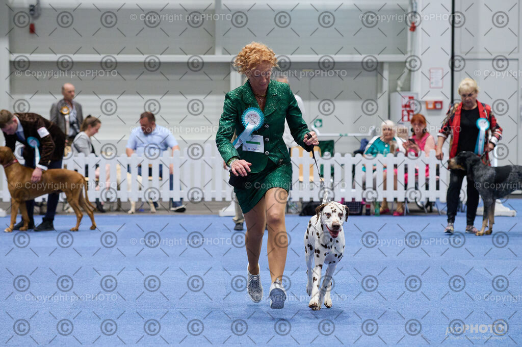 202406_ÖKV-IHA-Tulln24_DSC_3077 | proPHOTO - Realisiert mit Pictrs.com