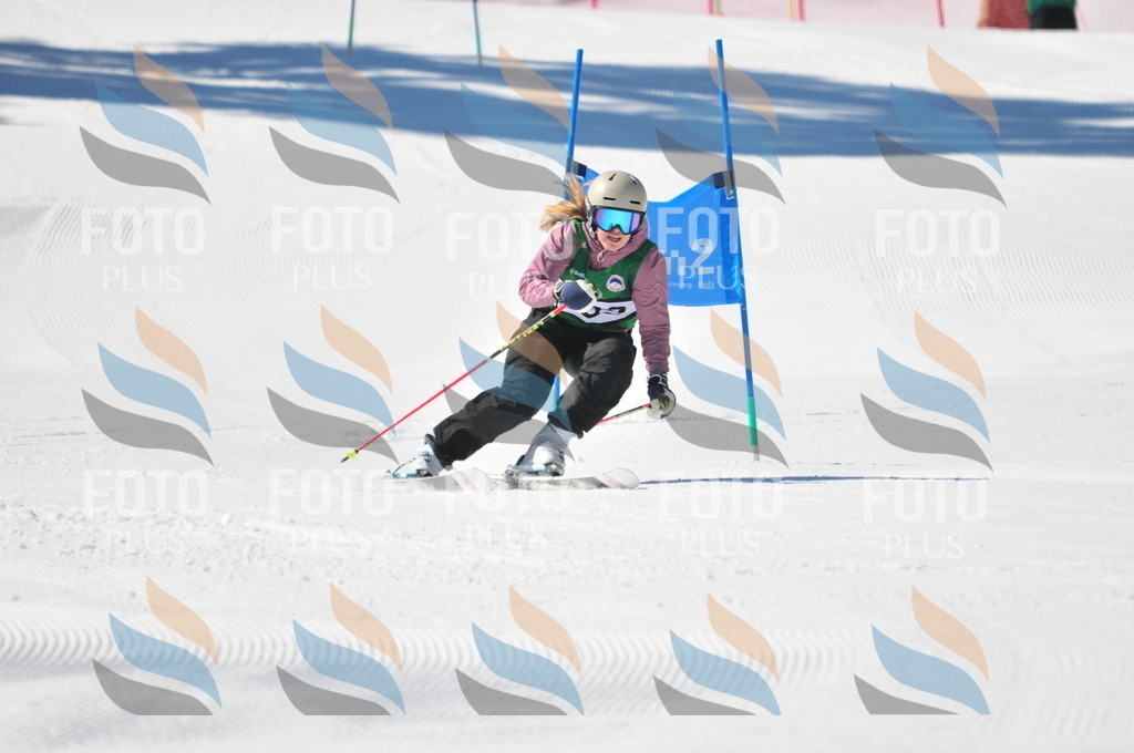 C4193 | holidayphoto