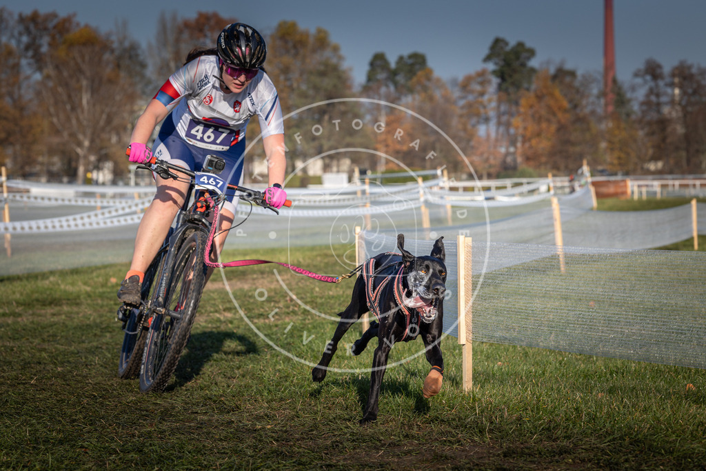 CaniXpix_0L8A4547 | Hundefotografie, Tierfotograf, Pfotenfotografie, Fotoshooting Hund, Hunde Portrait, Hundesport, Hundeportraits, Heideshooting, Hunde, Sportfotograf, Hundefotograf, Turnierhundsport, THS,  - Realisiert mit Pictrs.com