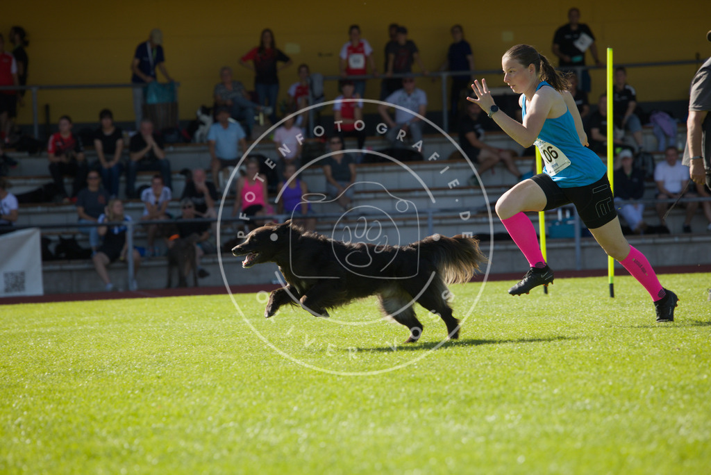 0L8A8553 | Hundefotografie, Tierfotograf, Pfotenfotografie, Fotoshooting Hund, Hunde Portrait, Hundesport, Hundeportraits, Heideshooting, Hunde, Sportfotograf, Hundefotograf, Turnierhundsport, THS,  - Realisiert mit Pictrs.com