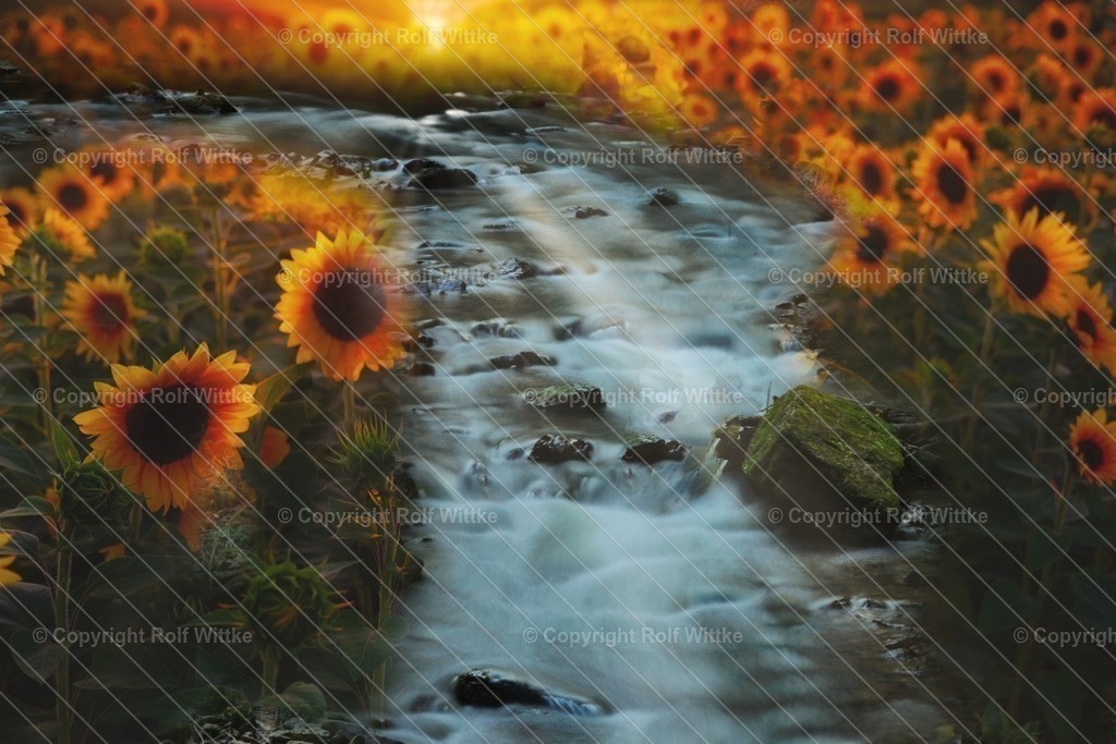 IMG_6860 | Rolf Wittke  - Realisiert mit Pictrs.com