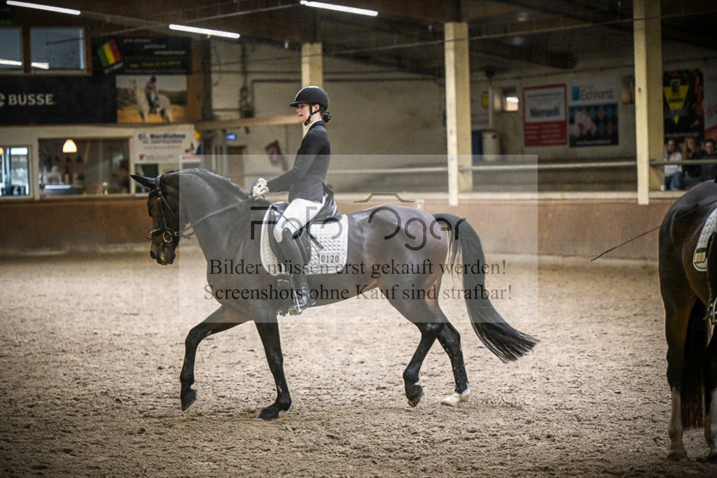DOS_0303 | Entdecke hochwertige Reitturnierfotos von Foto Oger. Professionell, emotional und authentisch – jetzt Lieblingsmomente im Shop bestellen.Deutschlandweite Turnierfotografie. - Realisiert mit Pictrs.com