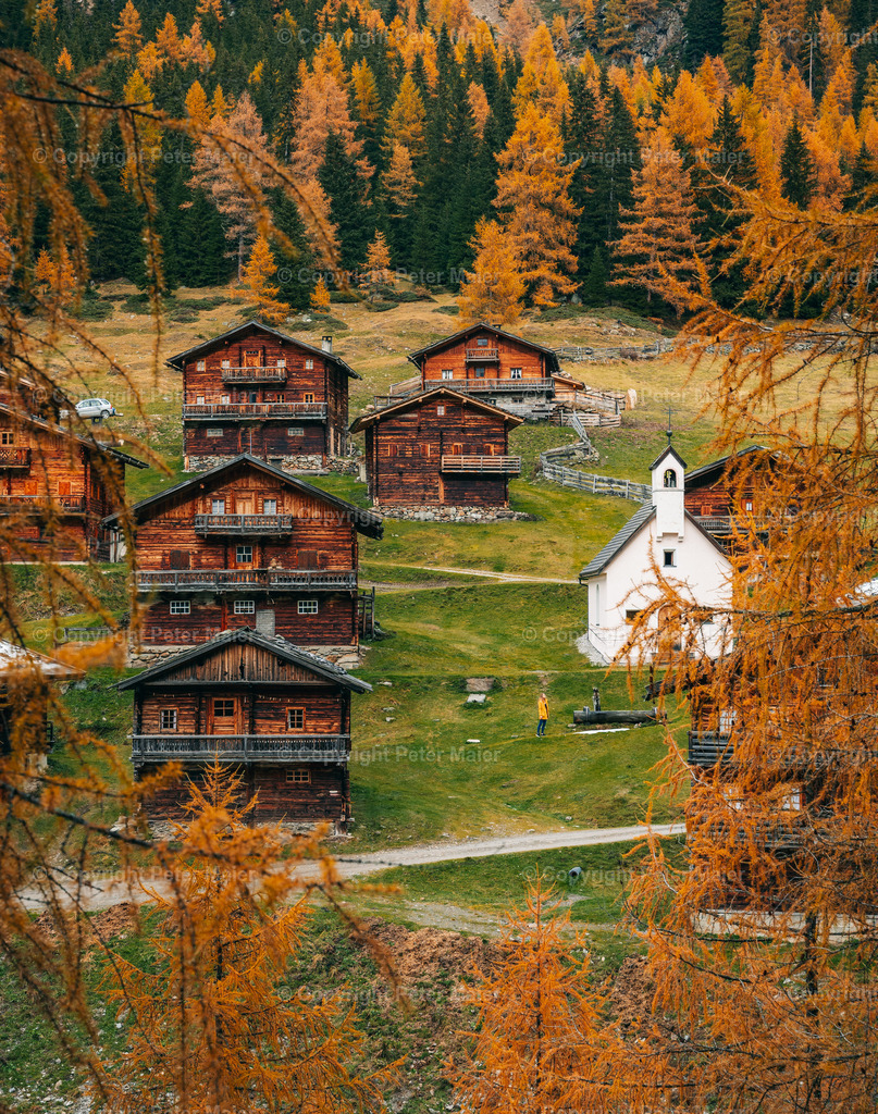 Oberstalleralm_Herbst_2020-93 | piet_flosse