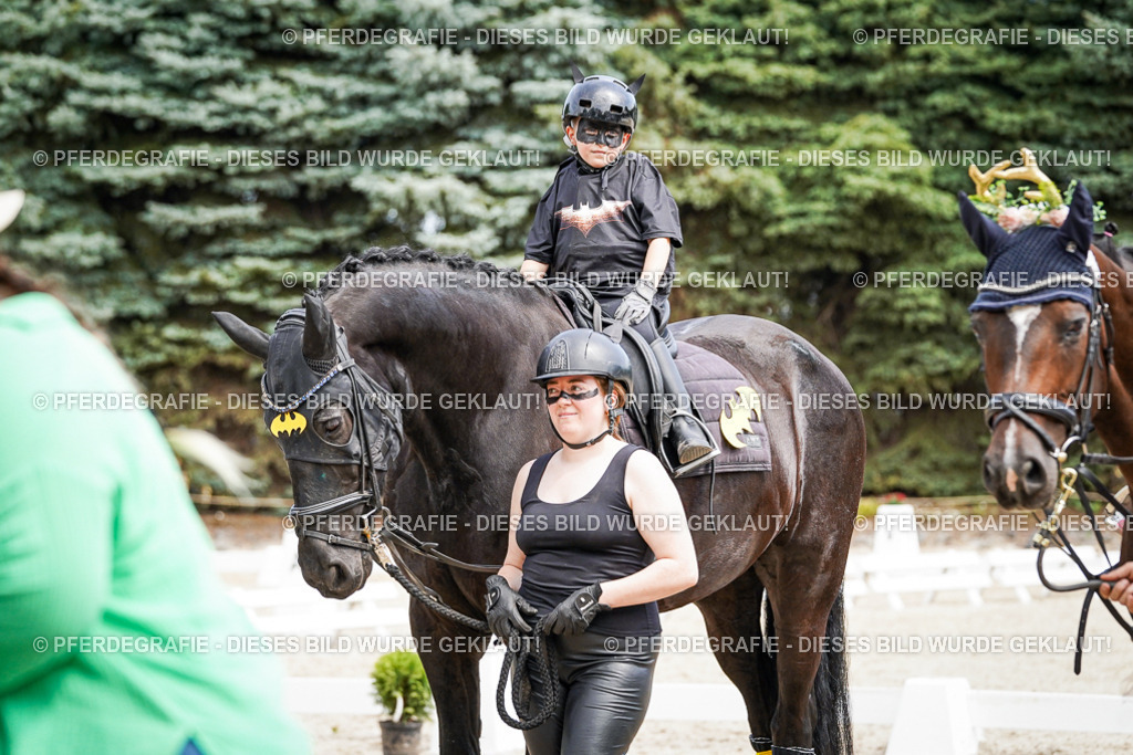 DSC03183 | Pferdegrafie