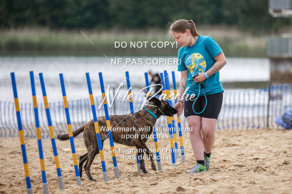 nelerasche_BuHu2026_So1530-Ende_105 | nelerasche