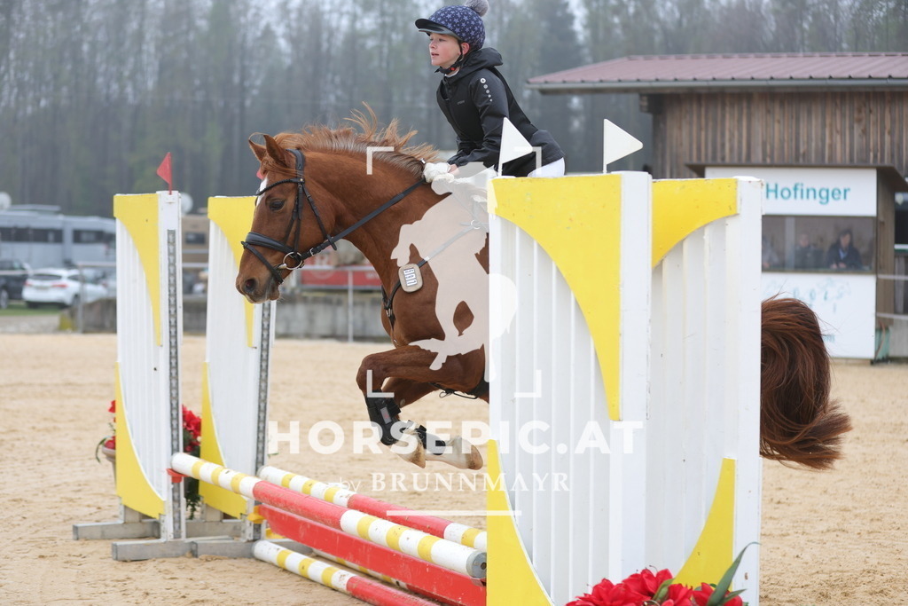 0P6A8240 | Willkommen bei Brunnmayr - Design & Fotografie – Ihrem Spezialisten für Reitturniere und Pferdeveranstaltungen in Oberösterreich, Salzburg und Bayern! Seit über 17 Jahren sind wir leidenschaftlich dabei.