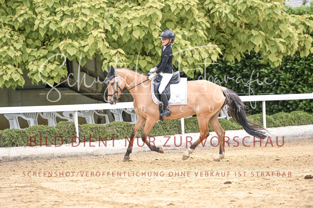 Schugtsche-Aluta25-42.EDressur -306 | Schugtsche Fotografie - Realisiert mit Pictrs.com