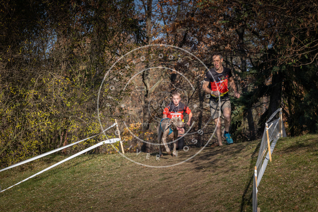 CaniXpix_0L8A8383 | Hundefotografie, Tierfotograf, Pfotenfotografie, Fotoshooting Hund, Hunde Portrait, Hundesport, Hundeportraits, Heideshooting, Hunde, Sportfotograf, Hundefotograf, Turnierhundsport, THS,  - Realisiert mit Pictrs.com