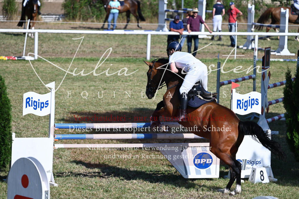 DSC_2180 | Pferde- und Turnierfotografie in Westsachsen. Pferdeportraits, Auftragszeichnungen und intuitive Kunst.