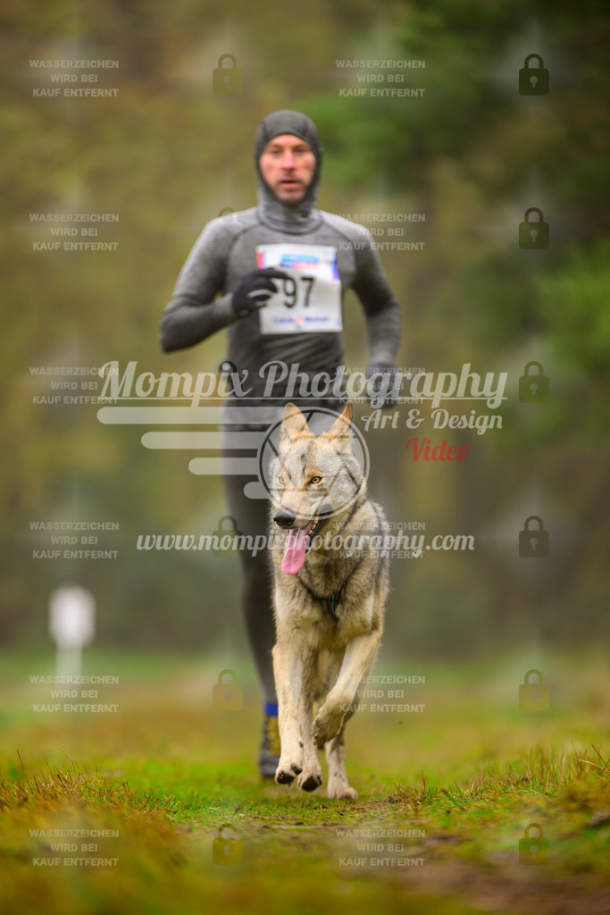 MompixPhotography_Bischwiller2025_Canicross-155 | mompixphotography