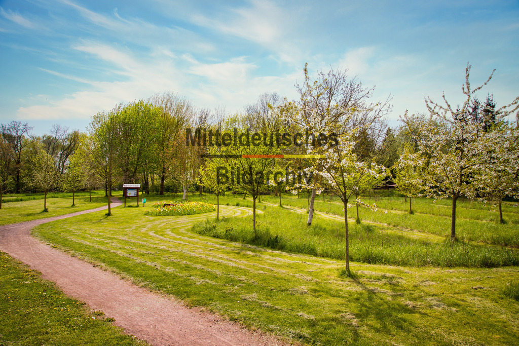 Eichenbarleben-3020 | Park Eichenbarleben - Realisiert mit Pictrs.com