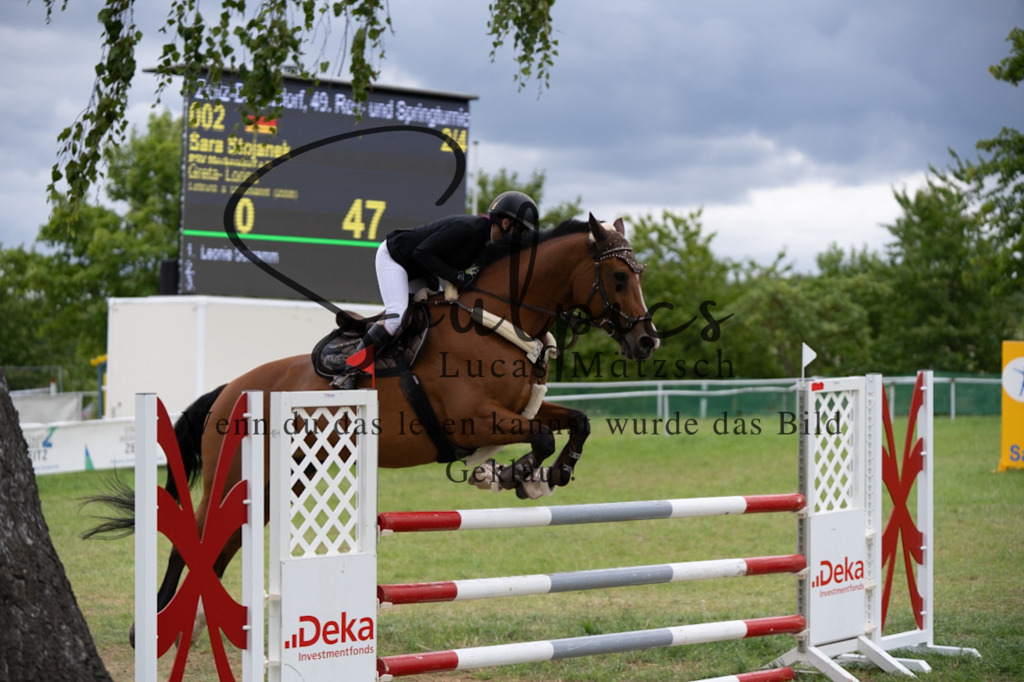 A7V06014 | Pferdefotograf