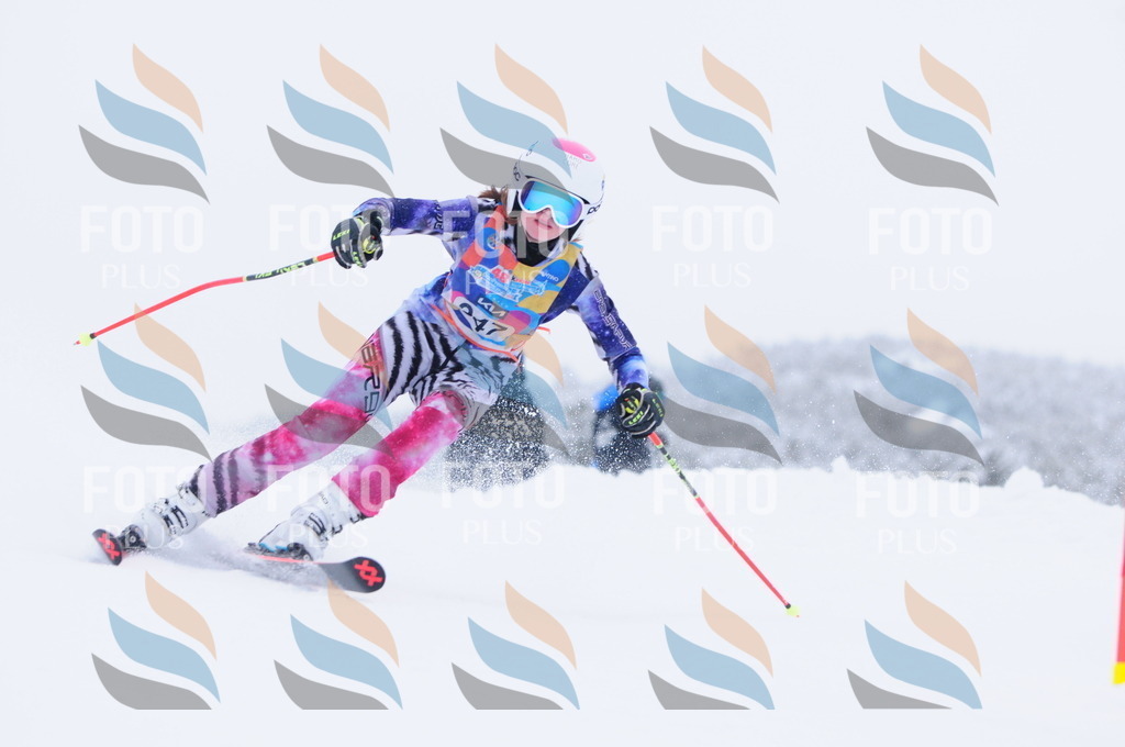 C3724 | holidayphoto