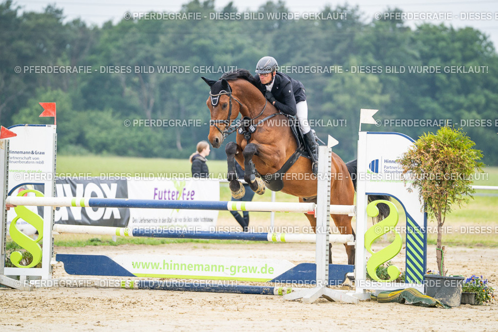 DSC00312 | Pferdegrafie