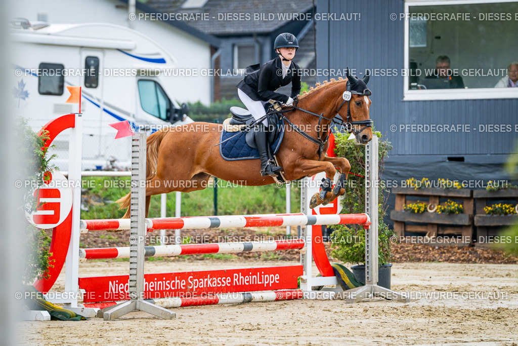 DSC02704 | Pferdegrafie