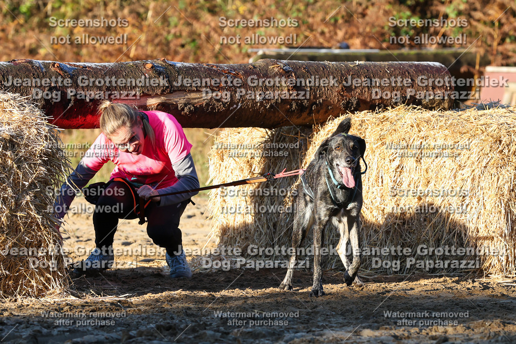 Dog Paparazzi - Strongdog 10-25-847 | Dog Paparazzi Jeanette Grottendiek Fotografie & Videografie - Realisiert mit Pictrs.com