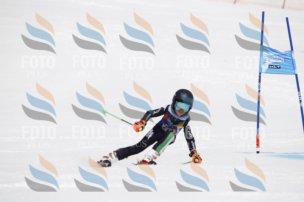 _U3G5440 | holidayphoto