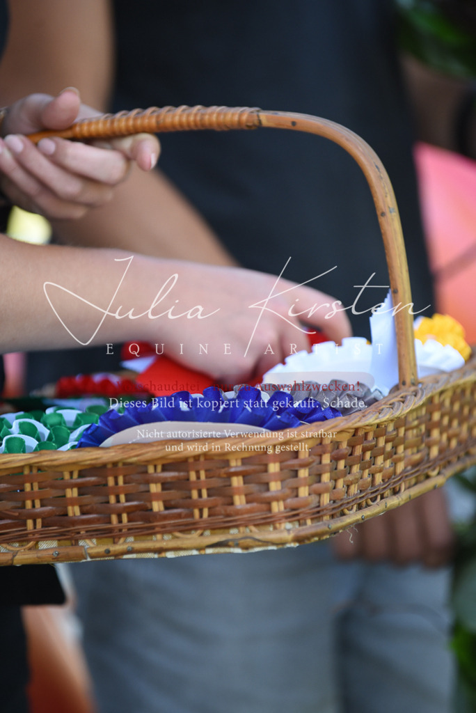 DSC_0435 | Pferde- und Turnierfotografie in Westsachsen. Pferdeportraits, Auftragszeichnungen und intuitive Kunst.