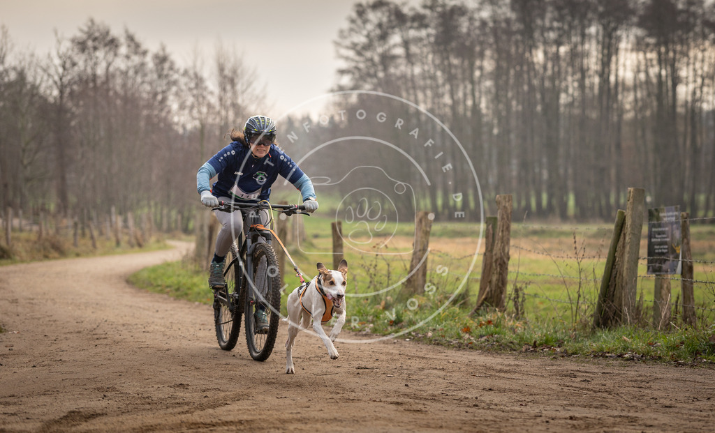 Pfotenfotografie_DV3A1762 | Hundefotografie, Tierfotograf, Pfotenfotografie, Fotoshooting Hund, Hunde Portrait, Hundesport, Hundeportraits, Heideshooting, Hunde, Sportfotograf, Hundefotograf, Turnierhundsport, THS,  - Realisiert mit Pictrs.com