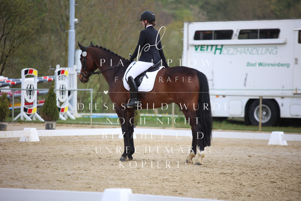 IMGT6615 | pl-fotografie