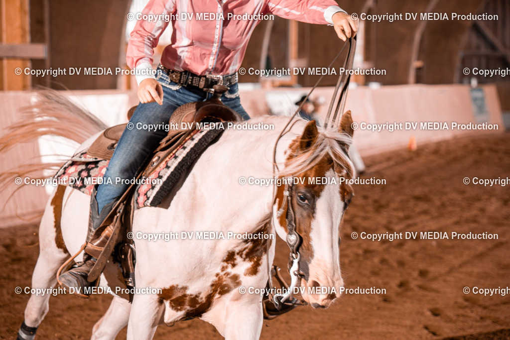 NE201501 | dv-media-shop - Realisiert mit Pictrs.com