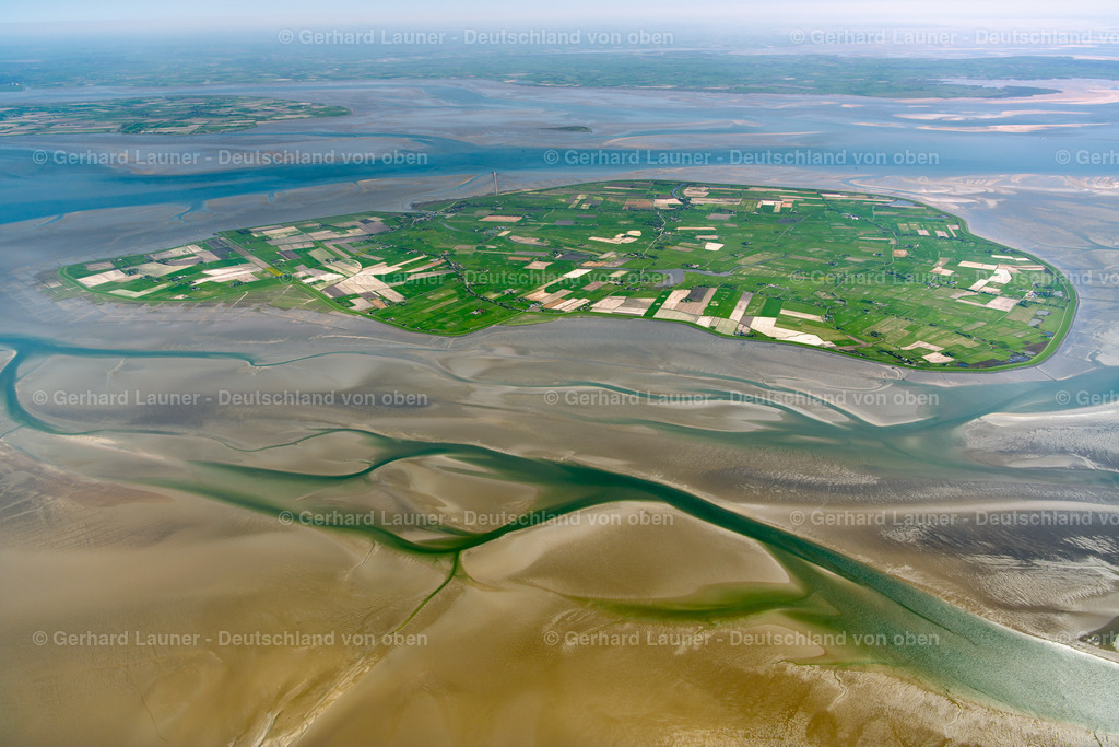 3801651 | Pellworm, Nationalpark Schleswig-Holsteinisches Wattenmeer