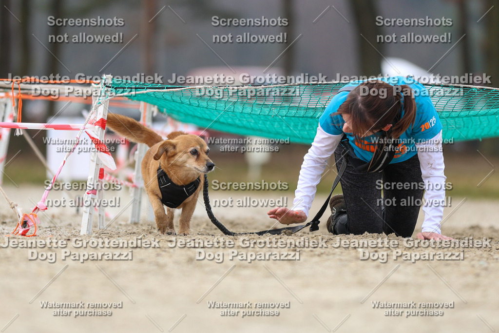 Dog Paparazzi - Strongdog North Mrz26-4576 | Dog Paparazzi Jeanette Grottendiek Fotografie & Videografie - Realisiert mit Pictrs.com