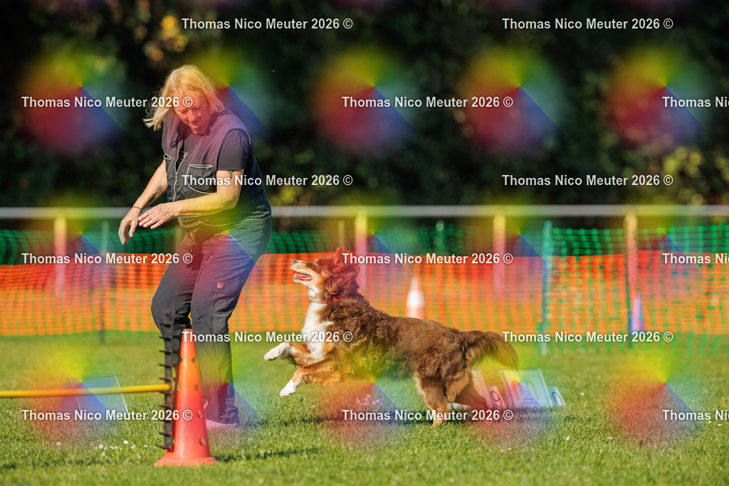 Thomas_Nico_Meuter(C)_04. Oktober 2026_223A3901 | Bild von Thomas Nico Meuter - Realisiert mit Pictrs.com