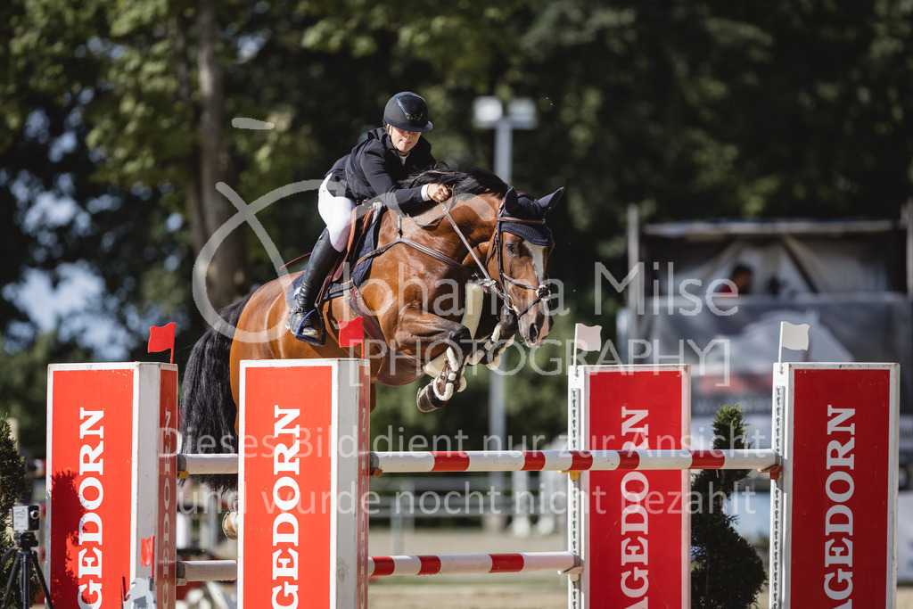 230826_Delbrueck_Youngster-M-519 | Deine schönsten Turniermomente als professionelle Fotos! Entdecke hochwertige Pferdesport-Fotografie im Online-Shop. Jetzt Fotos finden & bestellen!