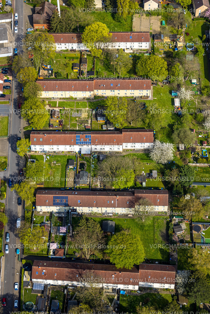 Boenen230404779 | Luftbild, Reihenhäuser, Wohnsiedlung zwischen Rosenstraße und Woortstraße, Westerbönen, Bönen, Ruhrgebiet, Nordrhein-Westfalen, Deutschland