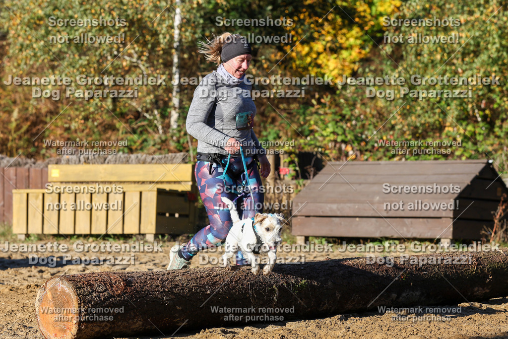 Dog Paparazzi - Strongdog 10-25-1395 | Dog Paparazzi Jeanette Grottendiek Fotografie & Videografie - Realisiert mit Pictrs.com