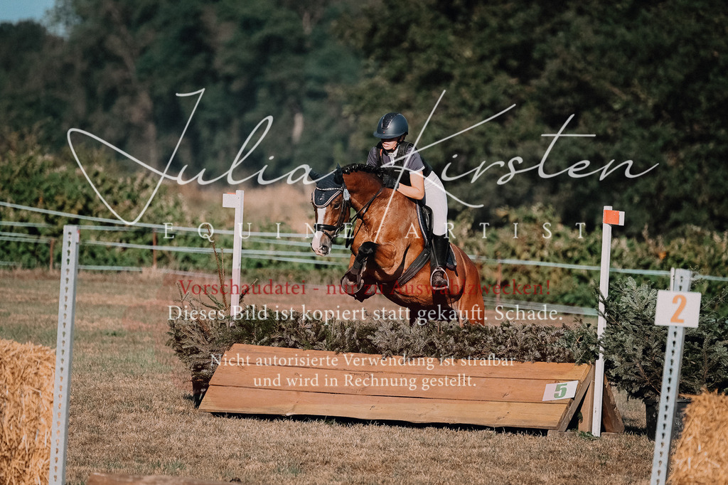 DSC_9103 | Pferde- und Turnierfotografie in Westsachsen. Pferdeportraits, Auftragszeichnungen und intuitive Kunst.