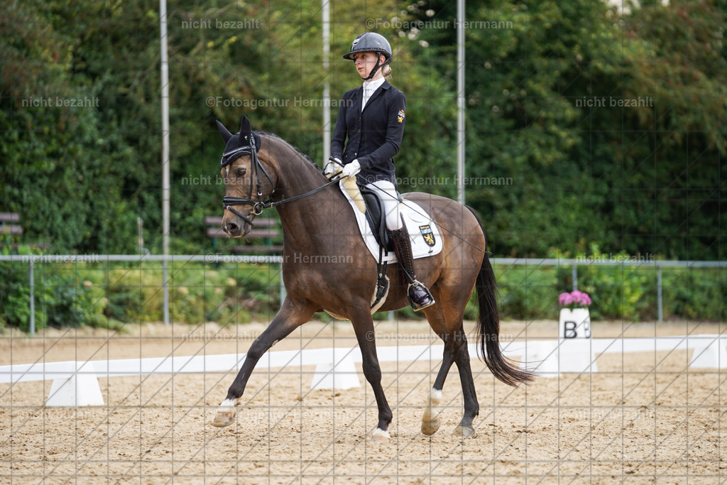 20240825-FAH00005 | Turnierbilder, Reitsportfotos, LAPO, Landesponyturnier, Turnierfotografen Bayern