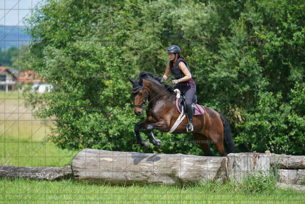 20240622-FAH07642 | Turnierfotografen Bayern, Reitsportbilder aus dem Geländekurs mit Felix Etzel auf dem Gut Waitzacker 2024