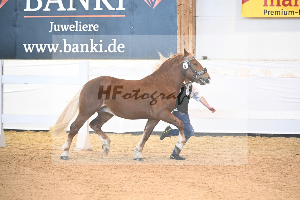 Kat-Nr. 9 v. Vachendorf_Lapper_6240082 | hf-fotografie - Realisiert mit Pictrs.com