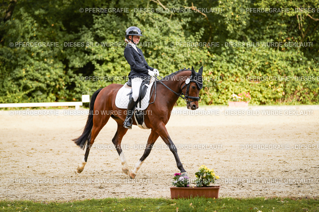 DSC09684 | Pferdegrafie