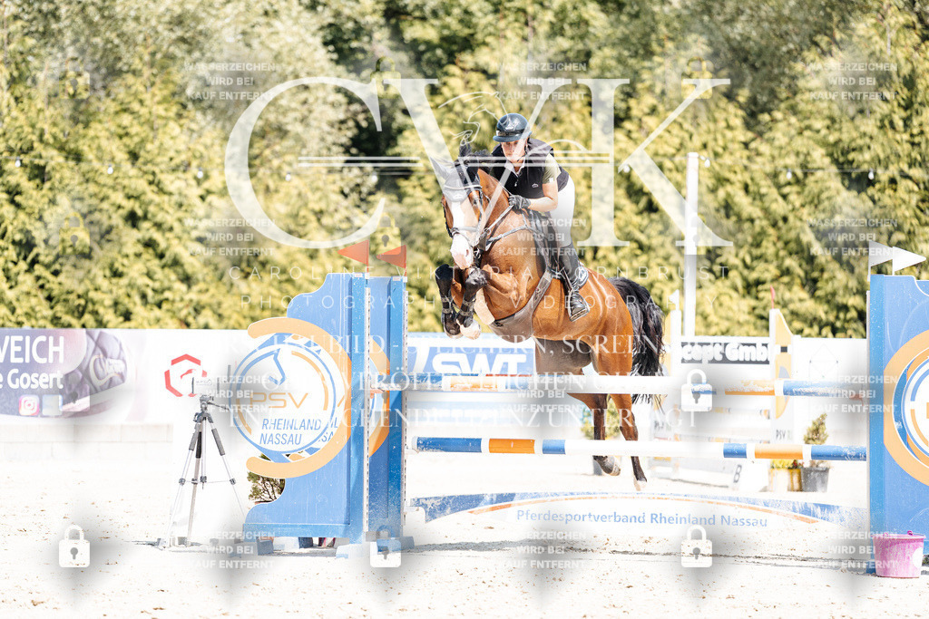 CK900916 | Turnierfotografie Pferdefotografie Trier Rheinland-Pfalz Pferdesport Reitsport Tierfotografie Sportfotografie Pferdevideo Pferdevideografie Equestrianvideography equestrianphotography  - Realisiert mit Pictrs.com