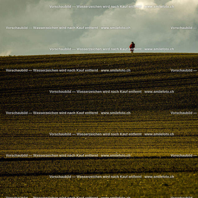 1S9A0555-2 | smilefoto.ch